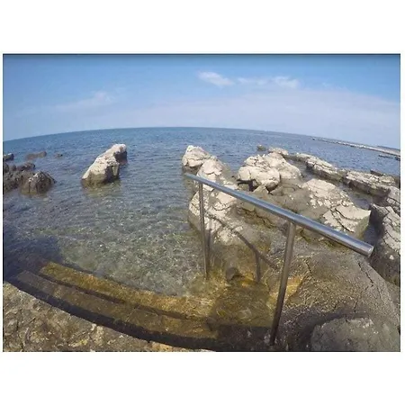 In With Swimming Pool ウマグ