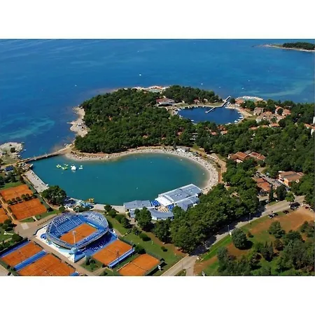 In With Swimming Pool