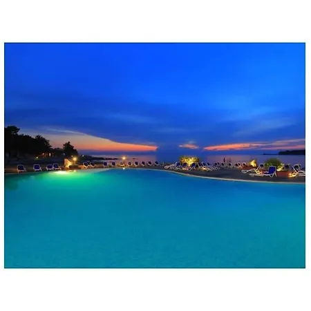 In With Swimming Pool أوماغ